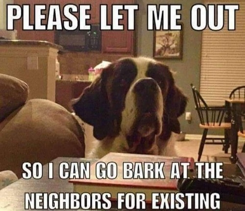 dog bark neighbors.jpg